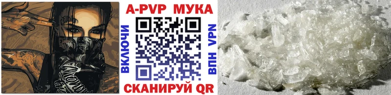 блэк спрут зеркало  Кологрив  Alpha-PVP VHQ 