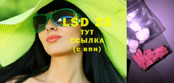 spice Богородск