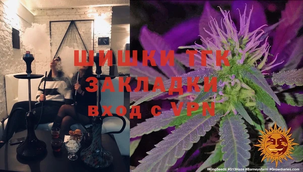 соль ск Бородино