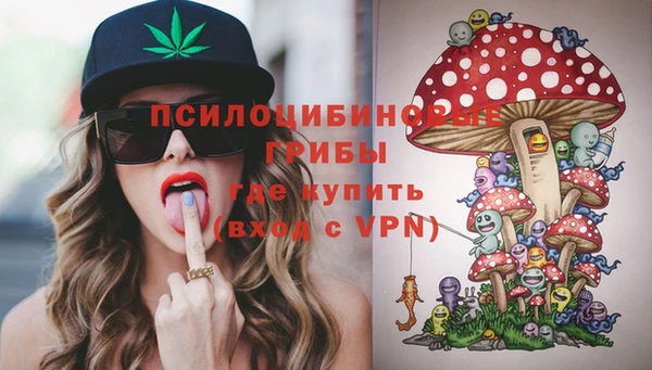гидропоника Бугульма