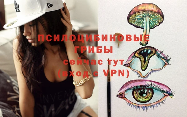 гидропоника Бугульма