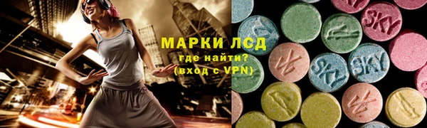 шишки Тавда