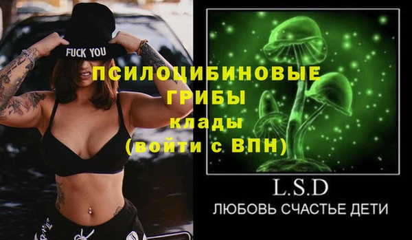 гидропоника Бугульма