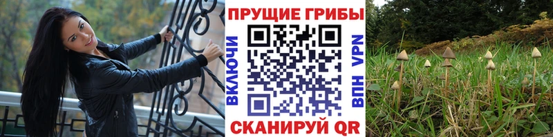 Псилоцибиновые грибы Magic Shrooms Кологрив